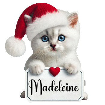 23_madeleine_1