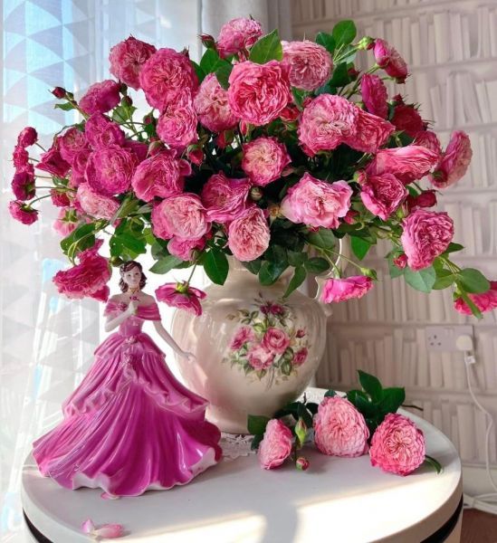 295067911_603907241096617_9070681768086363552_n