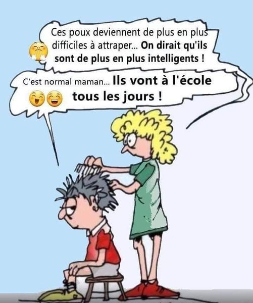 347098462_260597693019937_4679807577558389449_n