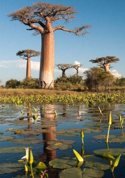 4c5c07d121319781b001940d326281e6