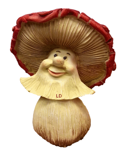 Lydie_champignon