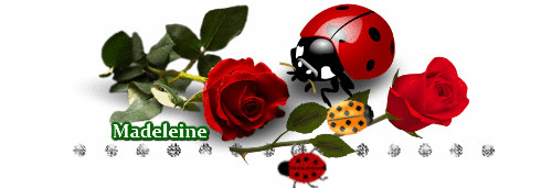 Madeleine_8931739_b0edc