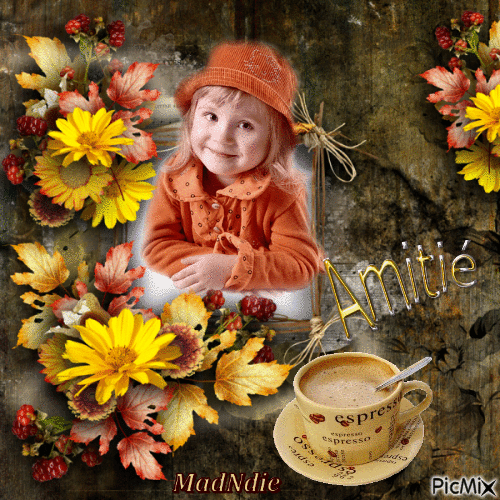 amitie_10733714_37f93