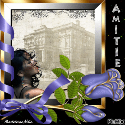 amitie_10794550_d70b1