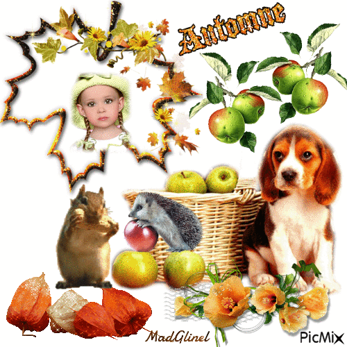 automne_10684937_2fb3d