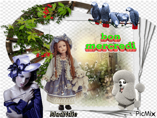 mercredi_bon_9928287_ebde8
