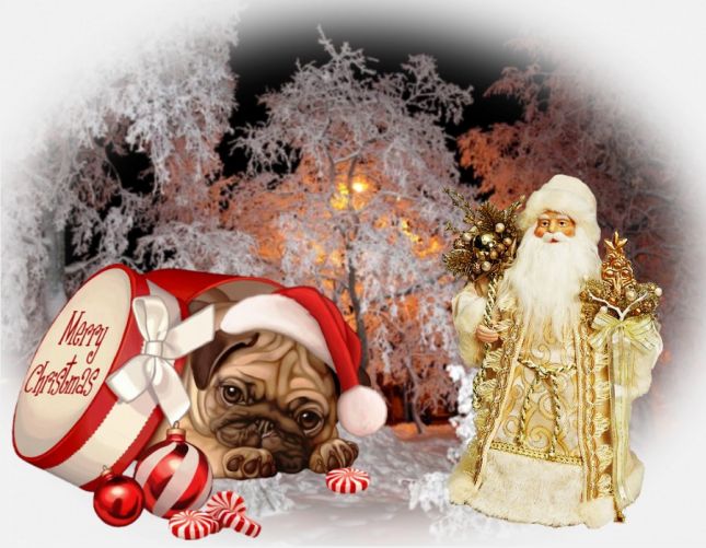 pixiz-16-12-2025-20-17-43