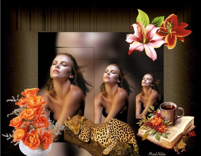 pixiz-31-10-2025-17-45-09