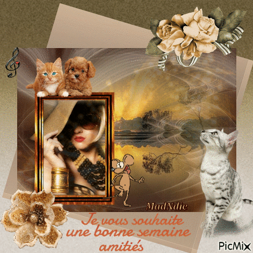 semaine_amities11248018_f8df6_1