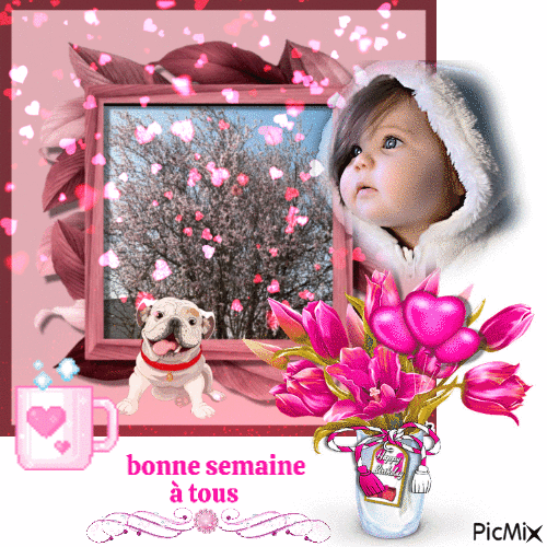 semaine_tous_13223799_ef850