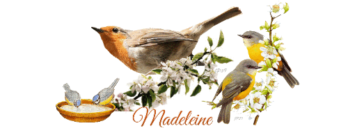 sep_Mad_9019077_c15d2