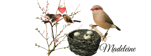 sep_Mad_9019103_09bd7